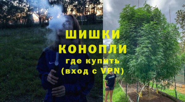 экстази Белокуриха