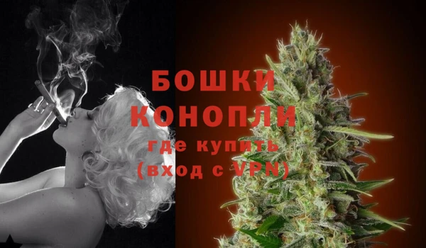 гашик Беломорск