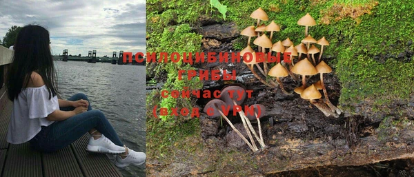 гашик Беломорск