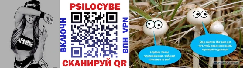 Купить закладки Гремячинск Галлюциногенные грибы GOLDEN TEACHER
